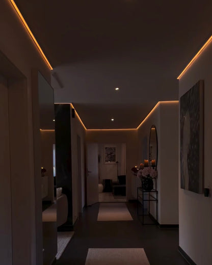 LED Stripe Waterproof