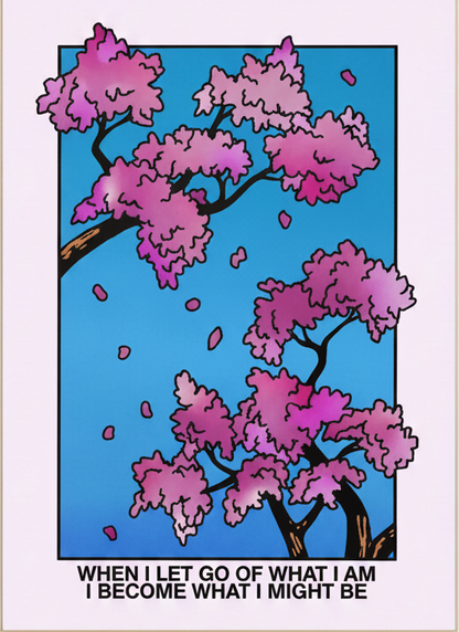 Kirschblüten Bild